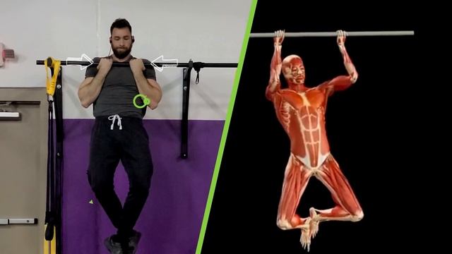10 Best Exercises For Bigger Bicep Peaks