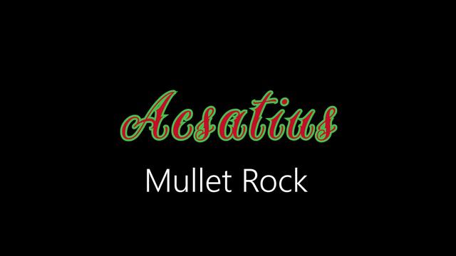 Acsatius ¦ Mullet Rock (official audio)