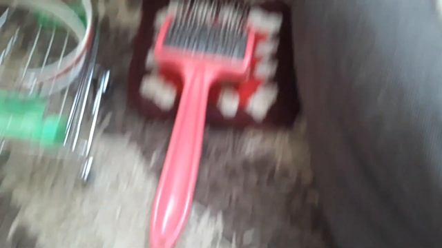 Кошачий уголок. Кошка Блоха.?