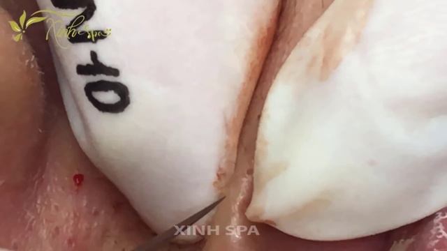 Satisfying videos for Relaxation with XINH SPA CHANNEL 5 142