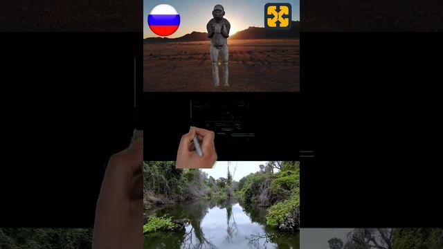 1 МИНУТА Процесс гоминизации 7 AUSTRALOPITHECUS ANAMENSIS Shorts