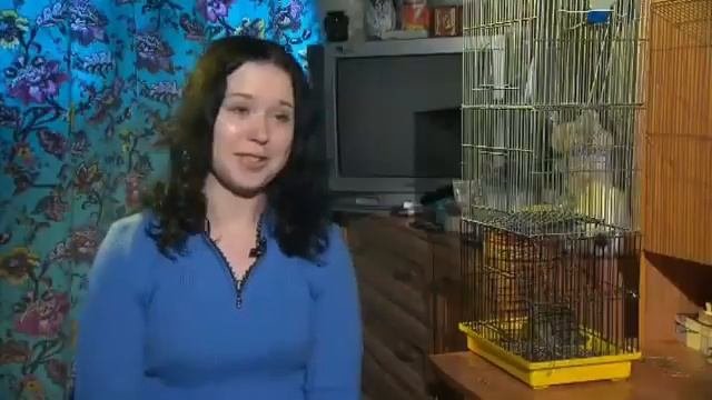Дегу в домашних условиях: содержание и уход