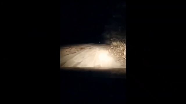 10 Жутких Видео , Снятых на Дороге !