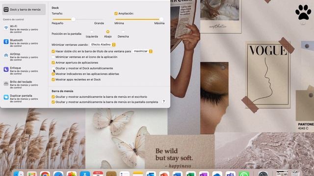 Cómo personalizar tú MacBook ?✨????