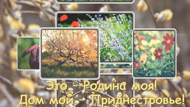 Цвети моё Приднестровье!