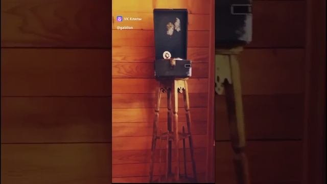 clip326566767_456240251.mp4