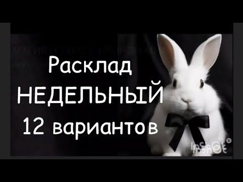 Таро расклад НЕДЕЛЬНЫЙ 12 вариантов