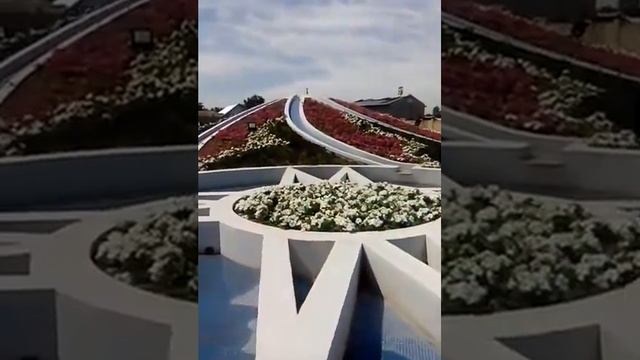 Красивая композиция цветов. Город Тараз.
