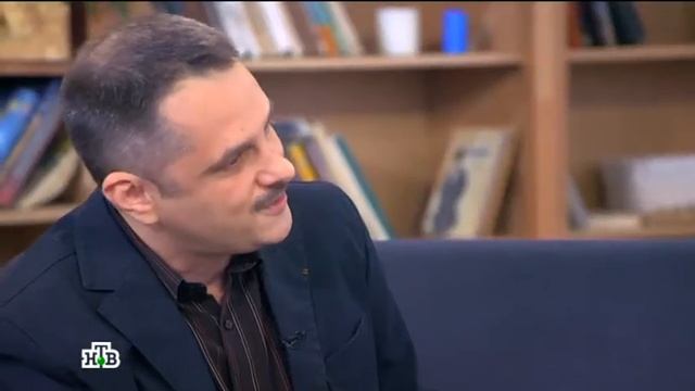 Корниш-рекс на ТВ