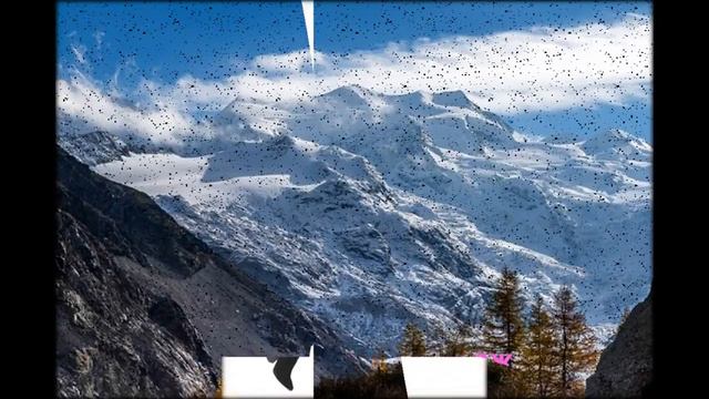 Новая осенняя коллекция эксклюзивных пальто Yarche
