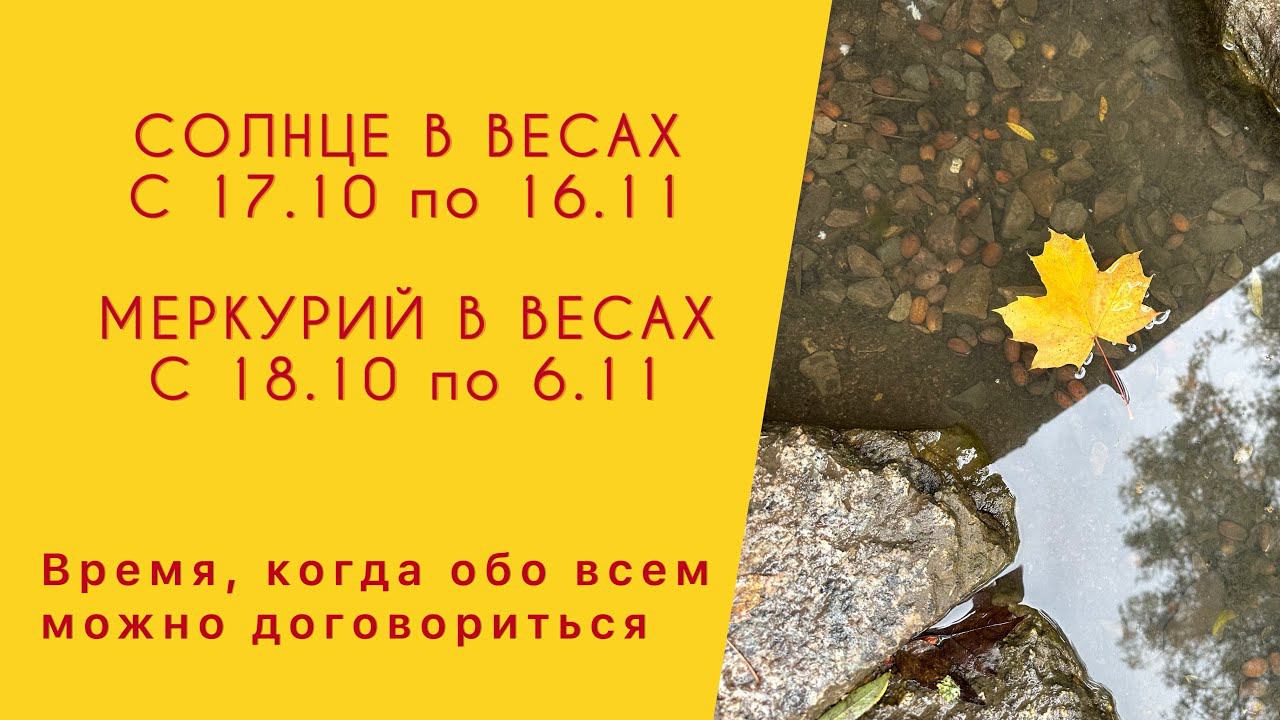 СОЛНЦЕ В ВЕСАХ С 17.10 по 16.11  МЕРКУРИЙ В ВЕСАХ С 17.10 по 6.11 #солнцеввесах #солнце #меркурий
