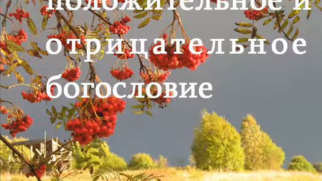 ПОЛОЖИТЕЛЬНОЕ И ОТРИЦАТЕЛЬНОЕ БОГОСЛОВИЕ