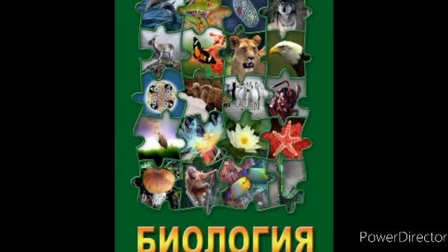 #14 Роль мхов в образовании болотных экосистем. Биология 7 кл.