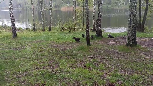 21.05.2022