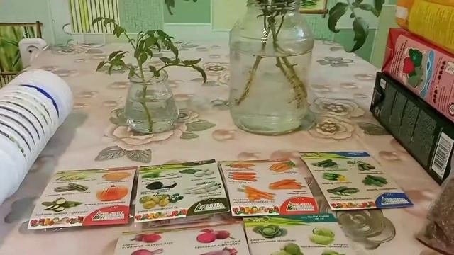 Новые сорта перцев. Готовлю грунт.