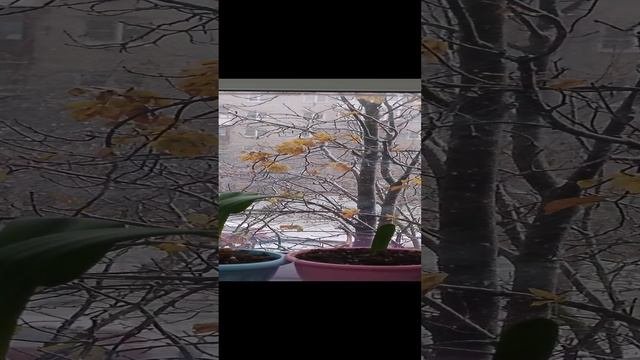 пришла весна.mp4