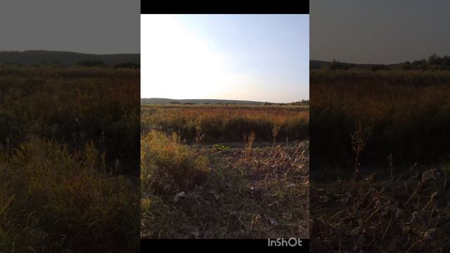 мне не забыть
