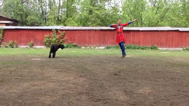 Мастер фристайл 3 место. 11.05.2014