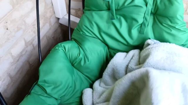 Мои балконные джунгли: осмотр после отпуска
