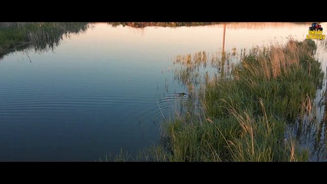 Красота родного края с высоты птичьего полета.