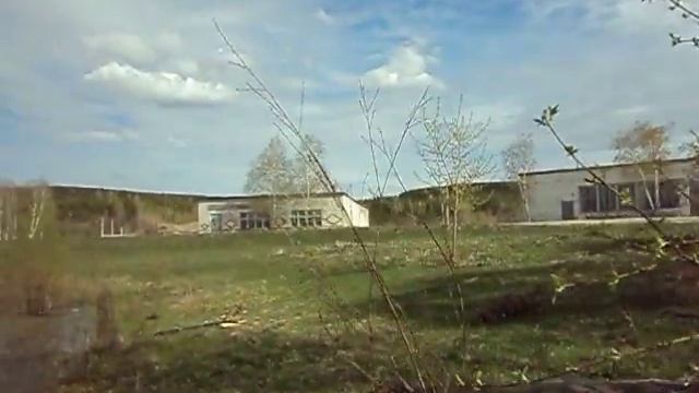 свадьба лягушек