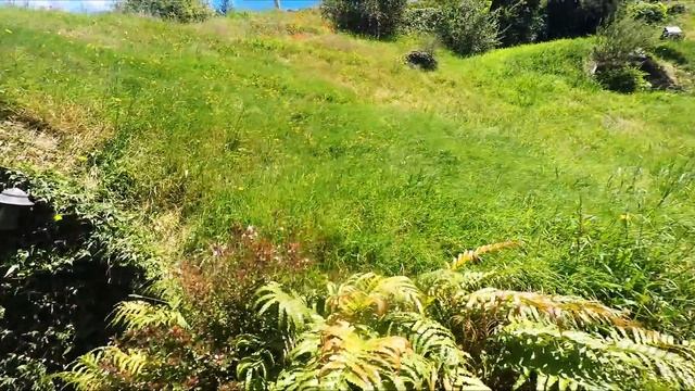 A day as a hobbit  - Hobbiton New Zealand