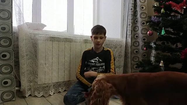 Самая умная собака на ютуб|Elisha Pets