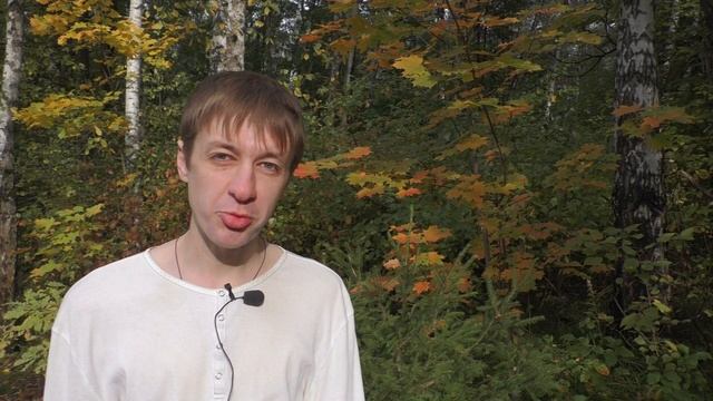 Глаза, от ресниц тенистые | Северинцев Максим