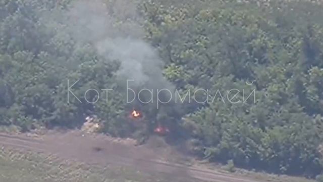 Оператор из отряда БпЛА "Вега" уничтожил гаубицу ВСУ в лесопосадке точным попаданием дрона !!!