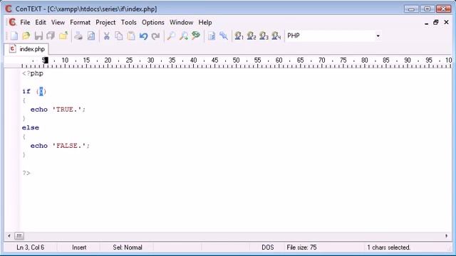 Beginner PHP Tutorial 18 if if else Statement