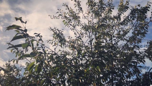 Hey Jude - The Beatles (Cover Violinist Liber Tim)
