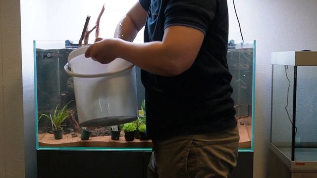 Jungle Aquarium maken! | Oase Scaperline 100 | AquastoreXL
