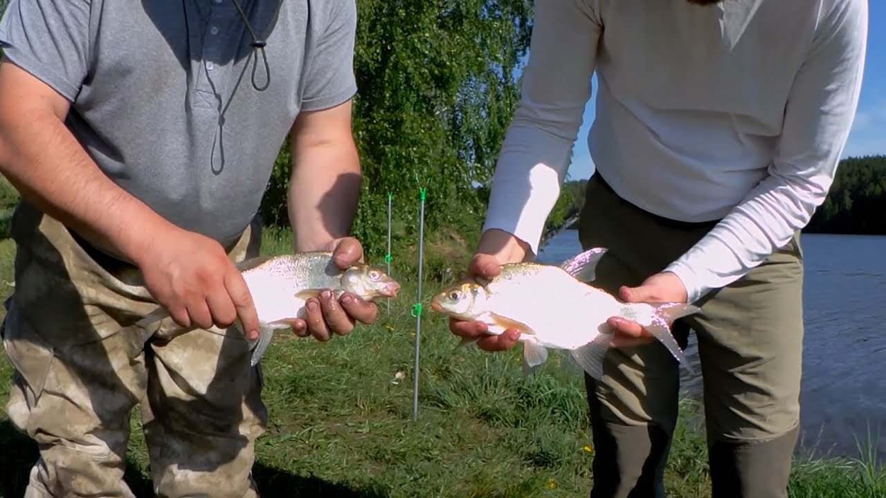 Двуреченское водохранилище (Нижне - Сысертское водохранилище). Ловля леща в конце мая 2021г.