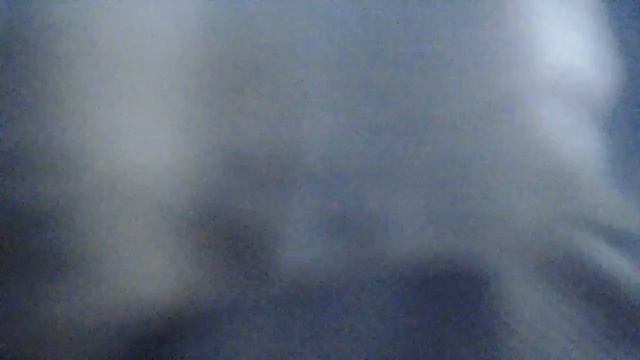 Мой хомяк (самое тупое видио)