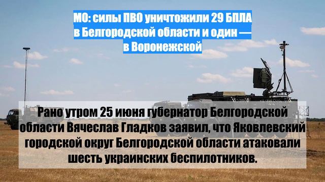 МО: силы ПВО уничтожили 29 БПЛА в Белгородской области и один — в Воронежской