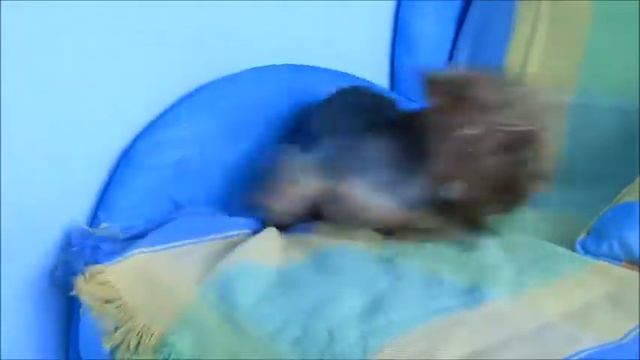 Подними себе настроение!
