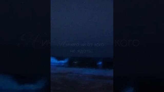 Пожалуй, это главное правило для счастливой жизни)
