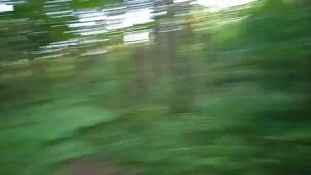 ПВД_Прогулка на великах