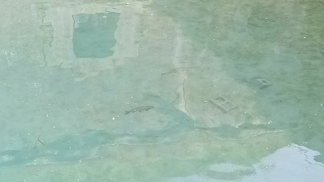 VID_20230422_163426.mp4