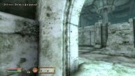 Oblivion Overhaul, Ep. 06: The Unmitigated (Imp's) Gall
