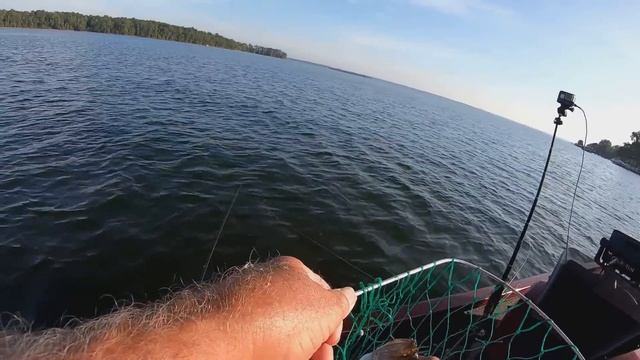Highlights, Striper On Flutter Spoon & Crappie On Gulp Sandworm