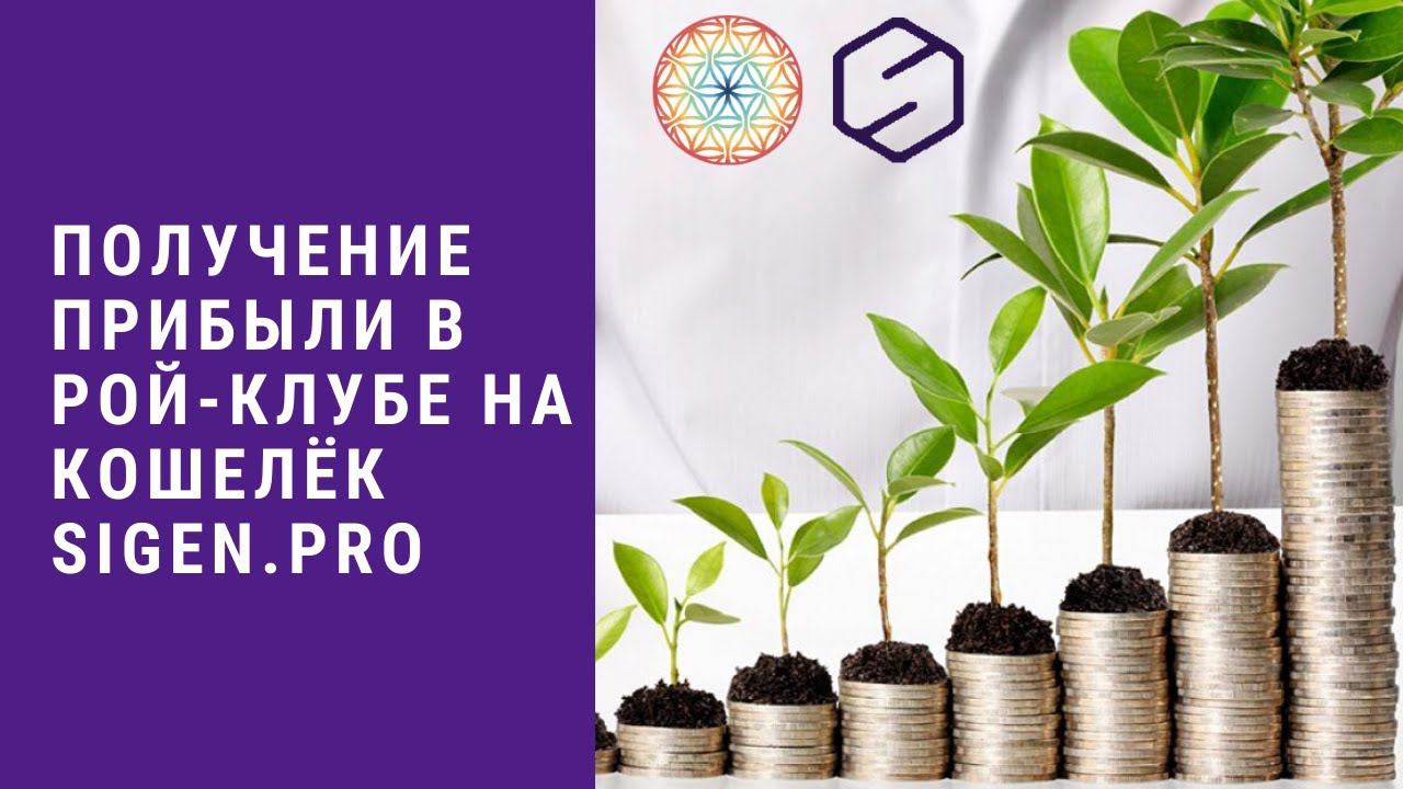 Получение прибыли в РОЙ Клубе на кошелек SIGEN PRO