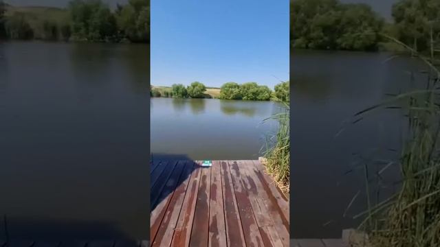 Всем бы сейчас такого отдыха