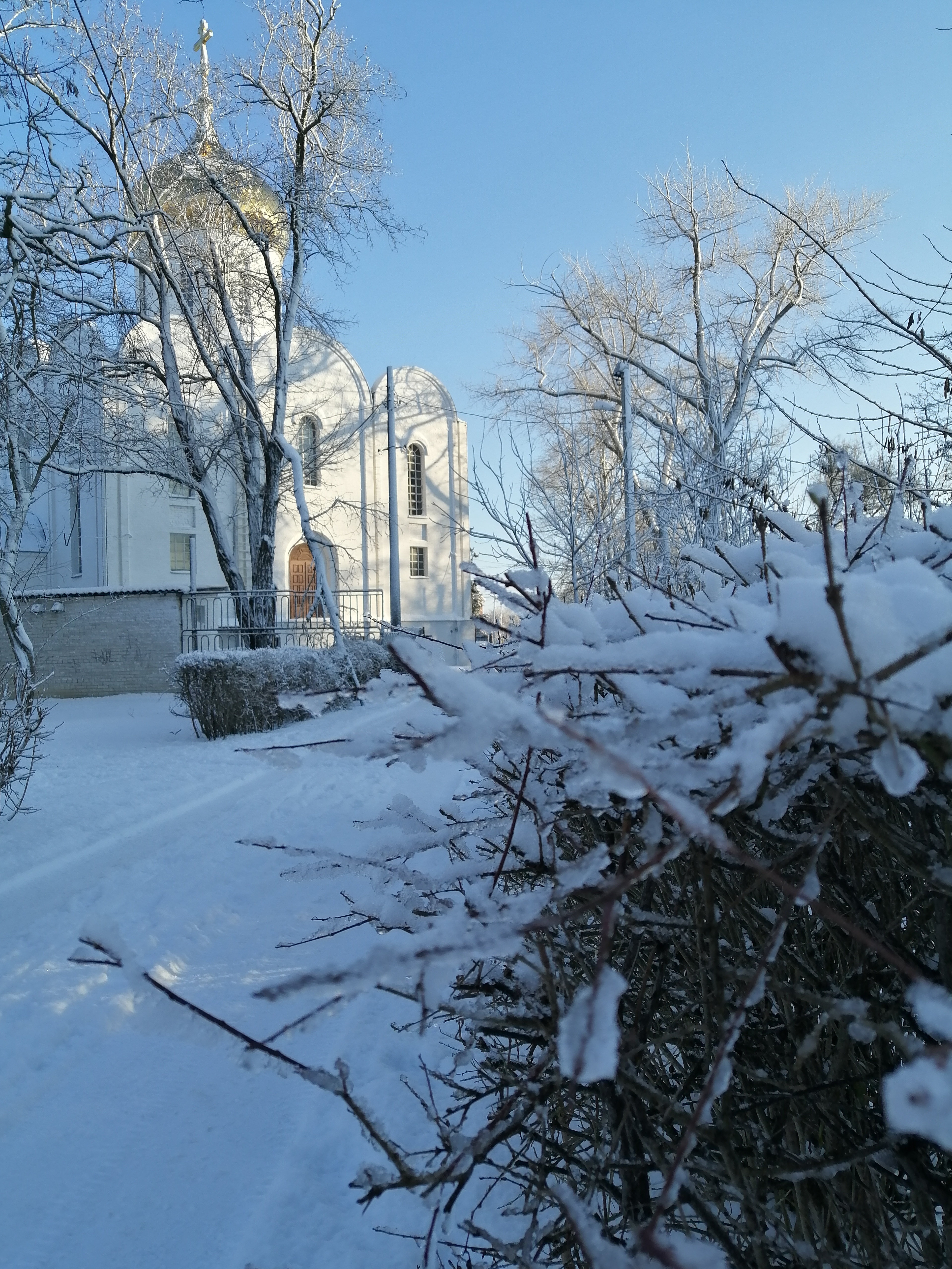 Таганрогская снежная зима. Сквер у церкви на ул. Бакинской.