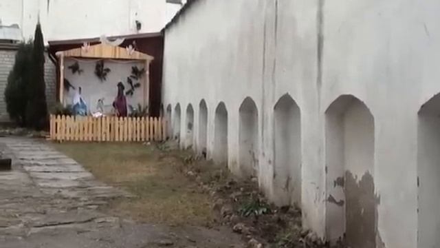 Слоним новогодний опрос