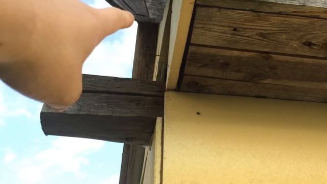 Утепление дома пенополистиролом. Прикол) House warming Styrofoam. Joke)