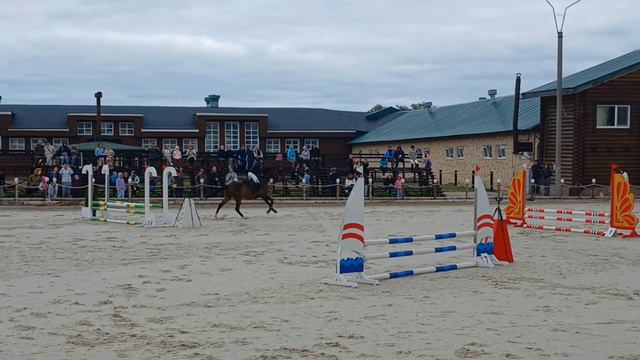 Барьеры 70 см. за Кубок по конкуру в Федерации конного спорта Пермского края 31.08.24 г.