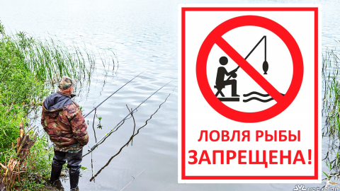 ЗАПРЕЩЕНА рыбалка в нерестовый период в Свердловской области в 2024 году