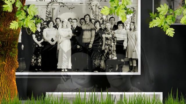 Семейное древо