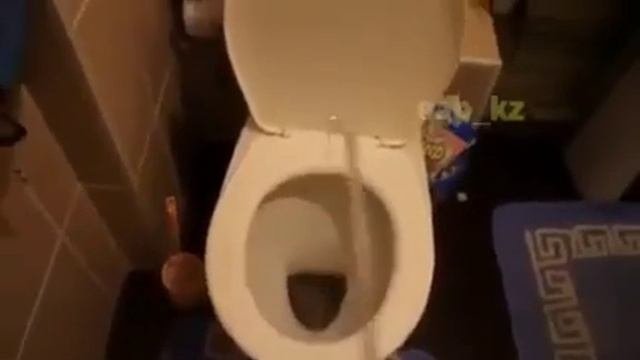 Обучение как правильно ходить в туалет